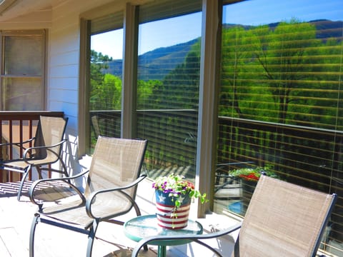 The front deck with a mountain view