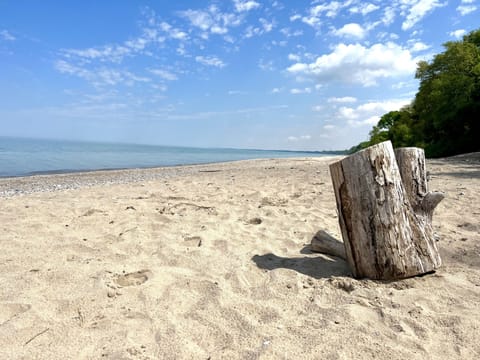 Clean, beautiful, community beach. No crowds. Fabulous sandbar.