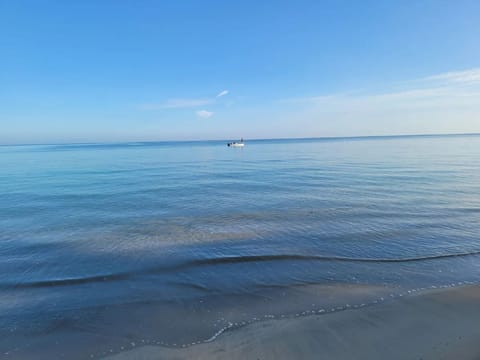 Beach nearby, sun loungers