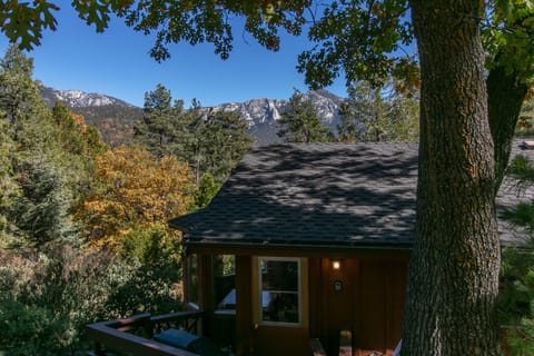 Raccoon Rock view from the stairs behind the house/back of house.