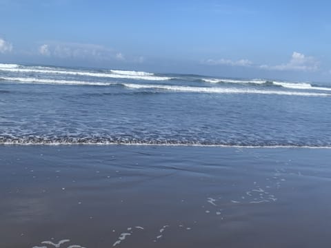 Beach nearby, beach towels