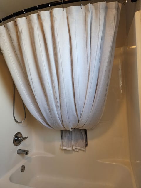 Bathtub, hair dryer, bidet, towels