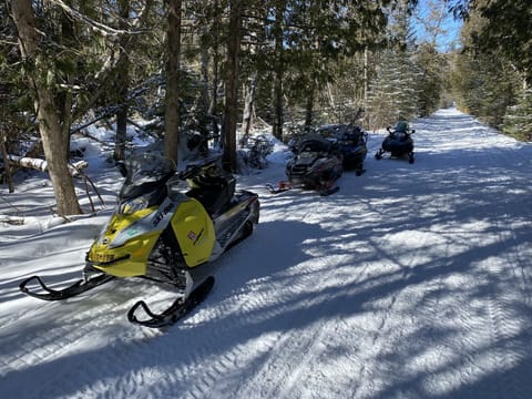 Snow and ski sports