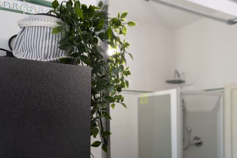 Plant, Houseplant, Interior Design, Wood, Rectangle, Floor, Material Property, Twig, Building, Real Estate