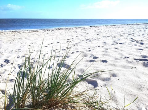 On the beach