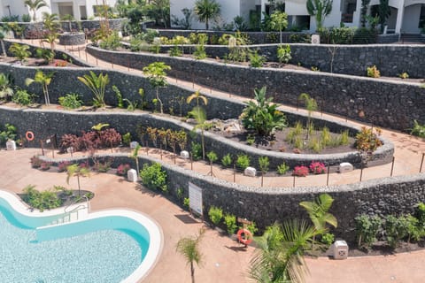 A heated pool, sun loungers