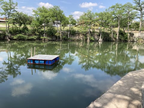 Waltonia raft
