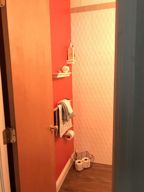 Combined shower/tub, hair dryer, towels, soap