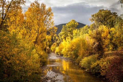 Your walk across the bridge over Main Elk Creek.