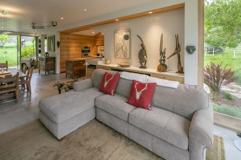 Living room and kitchen.