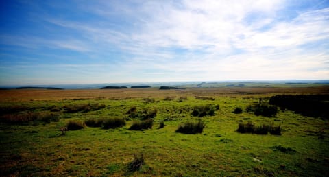 View from the Property