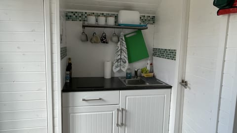 Full-equipped kitchen- cooking hobs, microwave, fridge etc