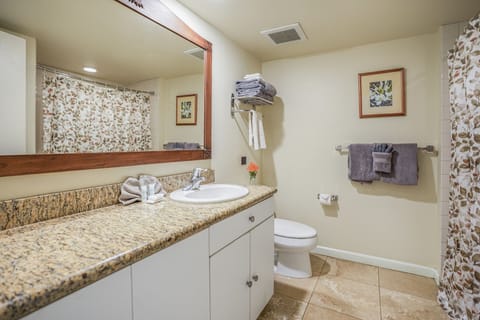 Combined shower/tub, hair dryer, towels