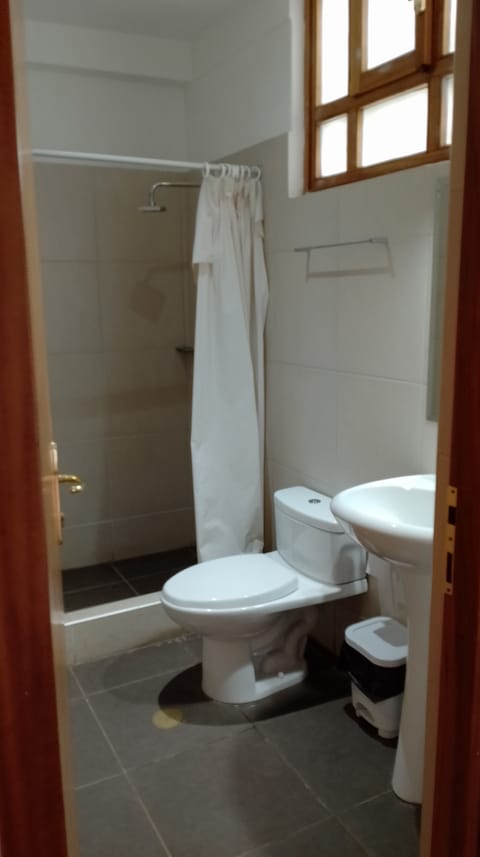 Combined shower/tub, bidet