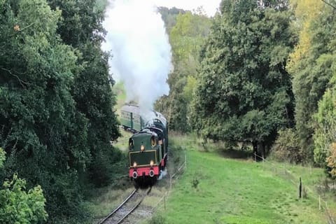 Region [summer] (>5 km)