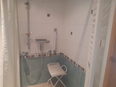 Shower, jetted tub, hair dryer, soap