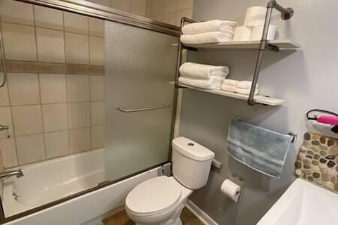 Combined shower/tub, hair dryer, towels