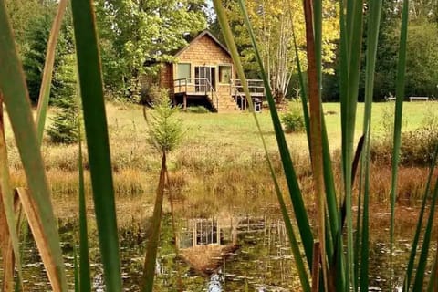 Cabin view from the pond