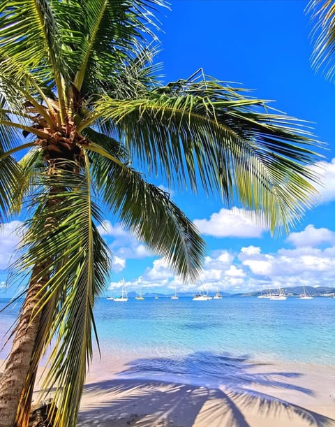 Beach nearby, beach towels