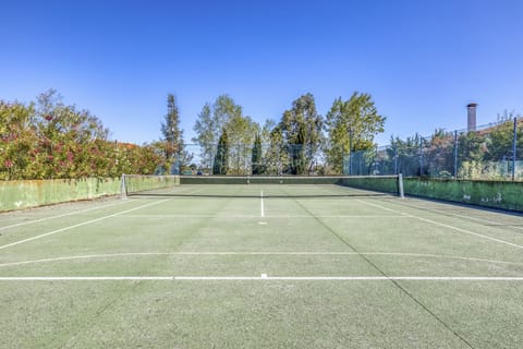 Sport court