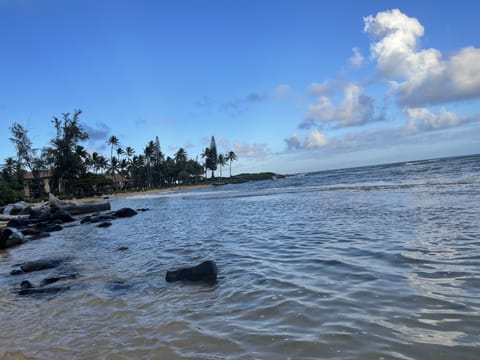 Beach nearby, sun loungers, beach towels