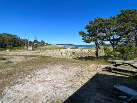 Beach nearby, sun loungers