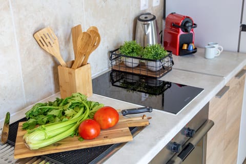 Fridge, oven, stovetop, electric kettle