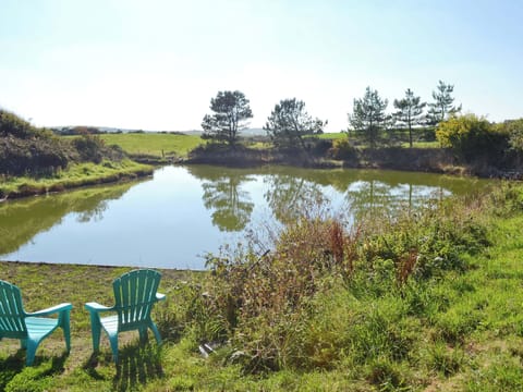 Lake | Alarch, Llanfachraeth near Holyhead