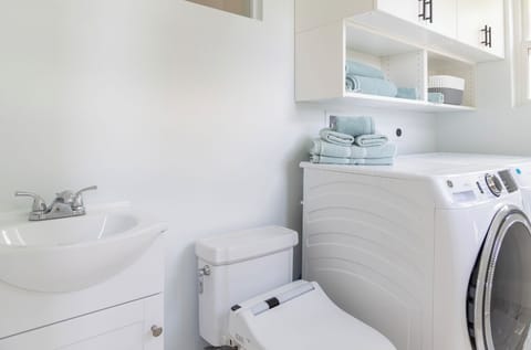 Combined shower/tub, bidet, soap, toilet paper