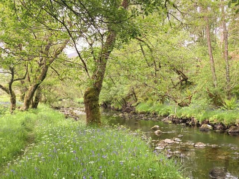 Surrounding area | Sonas, Torlundy