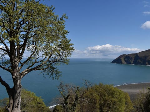 Surrounding area | Lawn Vista Cabin, Barnstaple