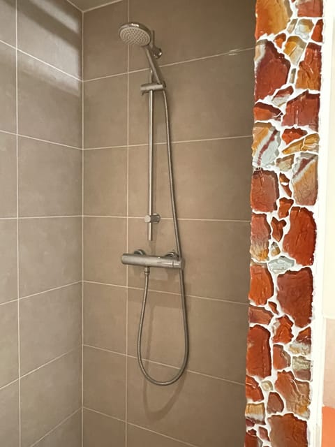 Combined shower/tub, hair dryer, soap, toilet paper