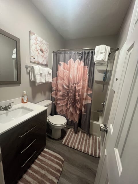 Combined shower/tub, hair dryer, towels, soap