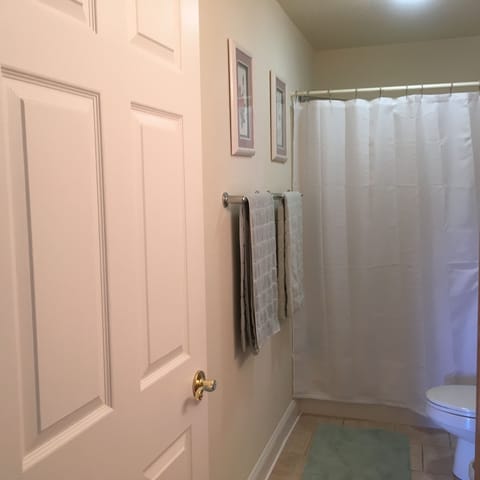 Combined shower/tub, hair dryer, towels, soap