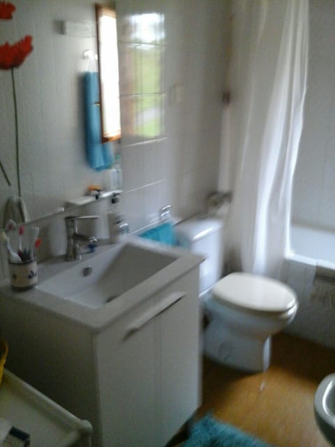 Combined shower/tub, free toiletries, towels, toilet paper