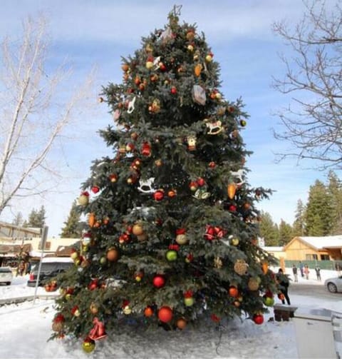 A tree that brings holiday cheers