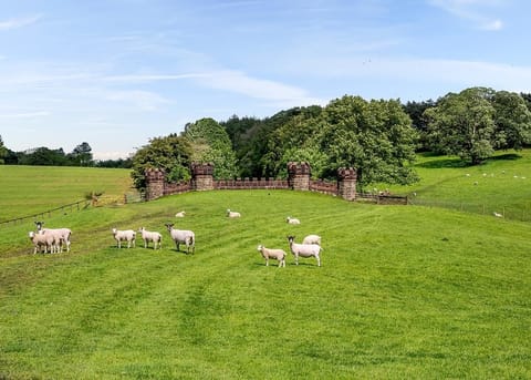 Ribblesdale Lodges, Gisburn, Yorkshire Dales