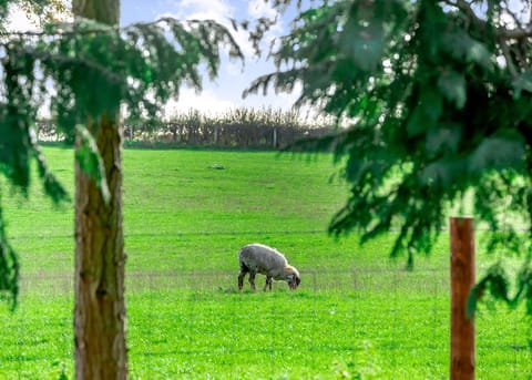Cedar Retreats, West Tanfield