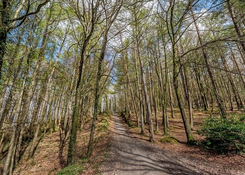 Bulworthy Forest Lodges, Webbery, Bideford