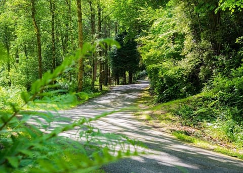 Bulworthy Forest Lodges, Webbery, Bideford