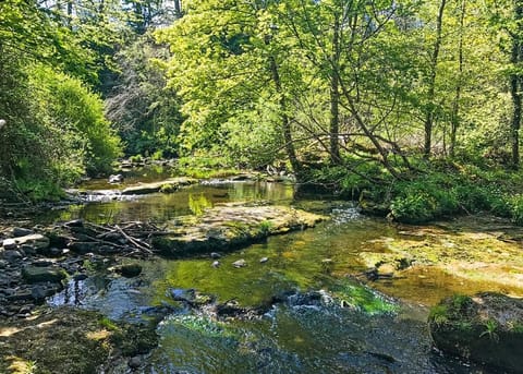 Hideaway Lodges, Birkhill, Linlithgow, Edinburgh