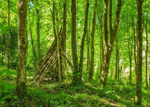 Bulworthy Forest Lodges, Webbery, Bideford