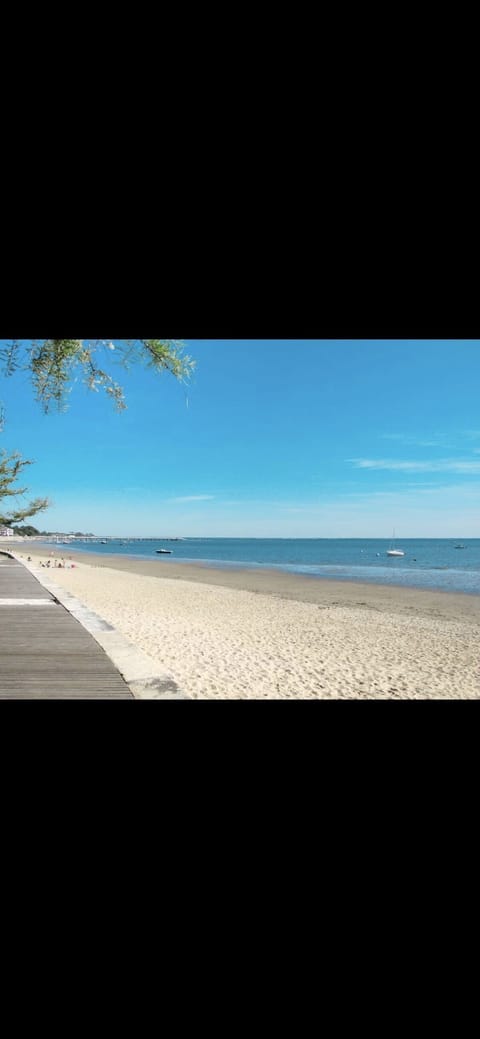 Beach nearby, sun loungers