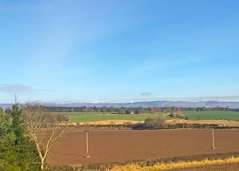 Bracken Log Lodge - Beech Hedge, Cargill