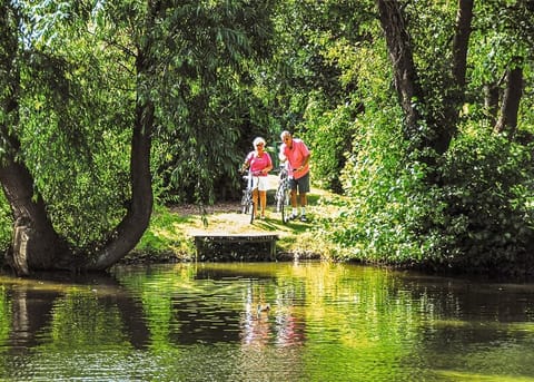 Relaxing around the park