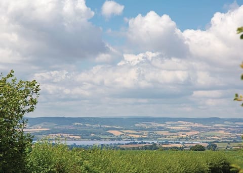 The park setting | Castle Brake Holiday Park, Woodbury