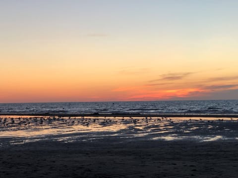 On the beach