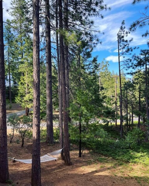 54f0bd9c 301b 44d0 b004 da4fef94cf77