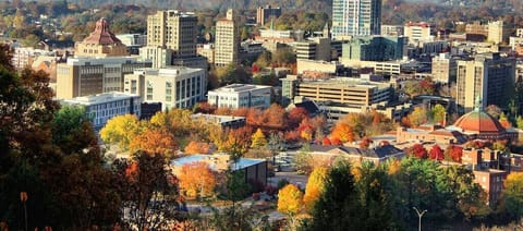 8.5 miles to downtown Asheville
