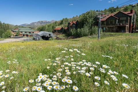 7.0-terraces-1301-telluride-vacation-rental-ski-run2